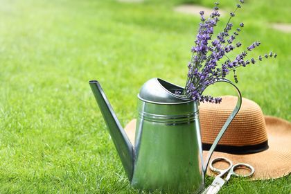 有機生活導師：我廿年沒看過醫生了