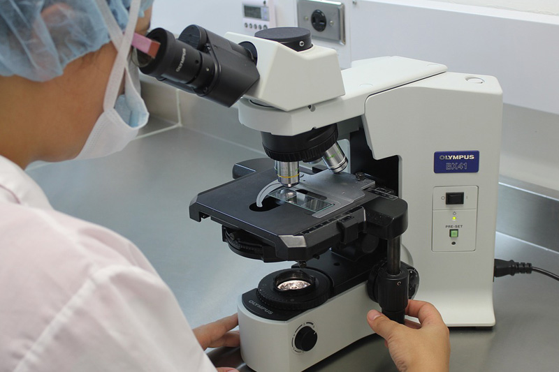 法國婦人腦炎病逝 傳科學家新冠檢測發現全新病毒 懷疑經蚊蟲傳播