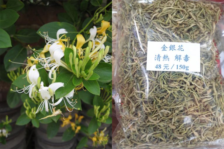 金銀花
