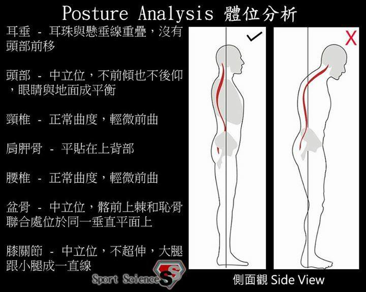 體位分析側面觀