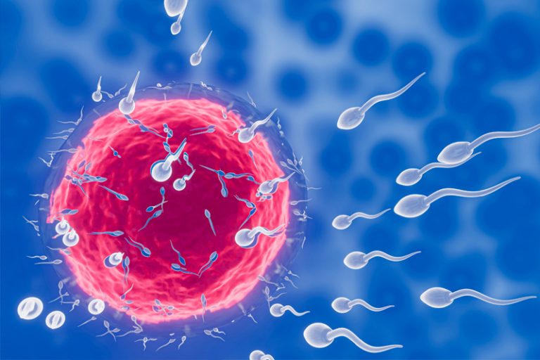 更年期症狀-醫生談女人的保鮮期2