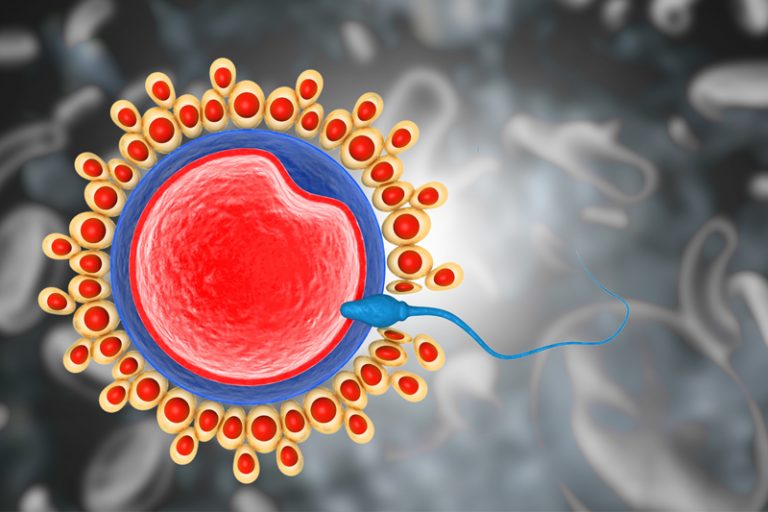 受孕機率-提高受孕機會-秘訣2