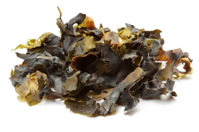 中藥材功效：昆布