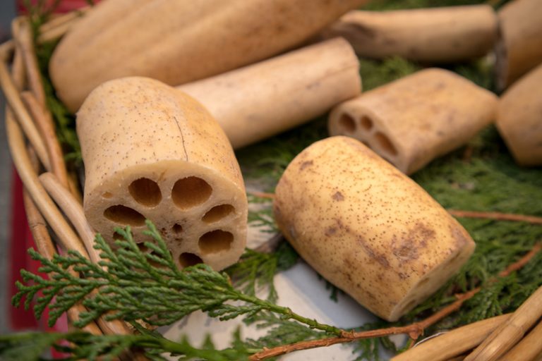 中藥材功效：蓮藕