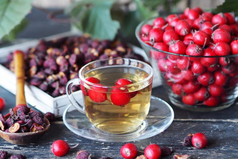 消滯茶療食譜｜山楂消食飲