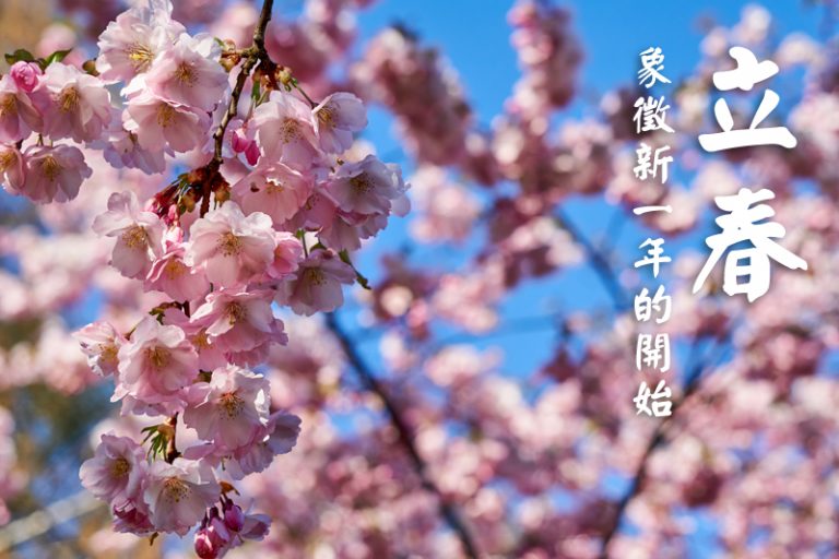 立春養生食療-中醫推介湯療-茶療-1