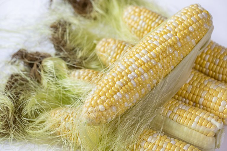 廿四氣節-雨水-運動-中醫推介合時湯療-粟米