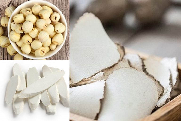 二十四節氣-春分-食療湯水-生活貼士-中醫教路