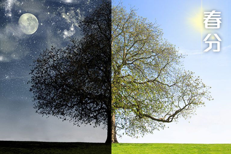 二十四節氣-春分-食療湯水-生活貼士-中醫教路C