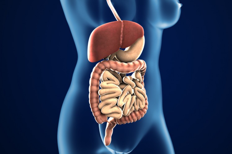 兒童染疫-確診-增強幼童免疫力-幼兒飲食營養-腸道健康