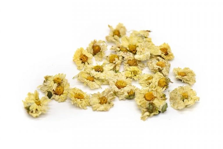 喉嚨痛咳嗽簡單湯療食譜-新冠輕症-杭白菊