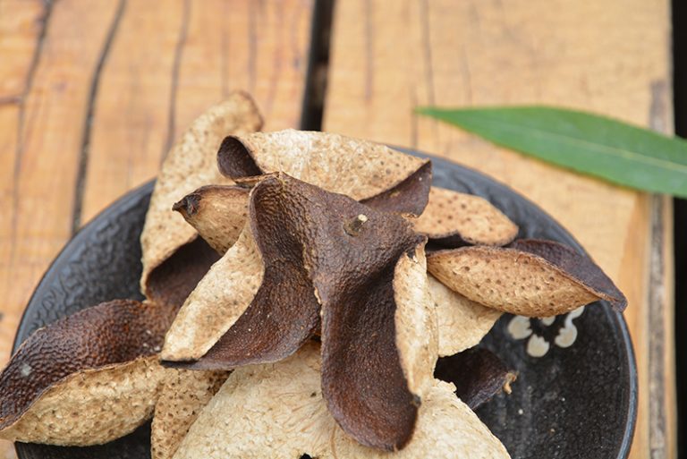 喉嚨痛咳嗽簡單湯療食譜-新冠輕症-陳皮