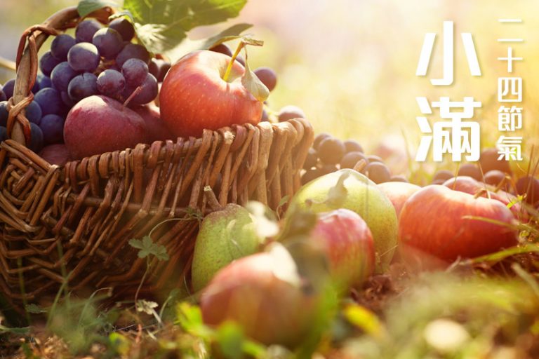 二十四節氣-小滿-易攰-去水腫-食療-湯水