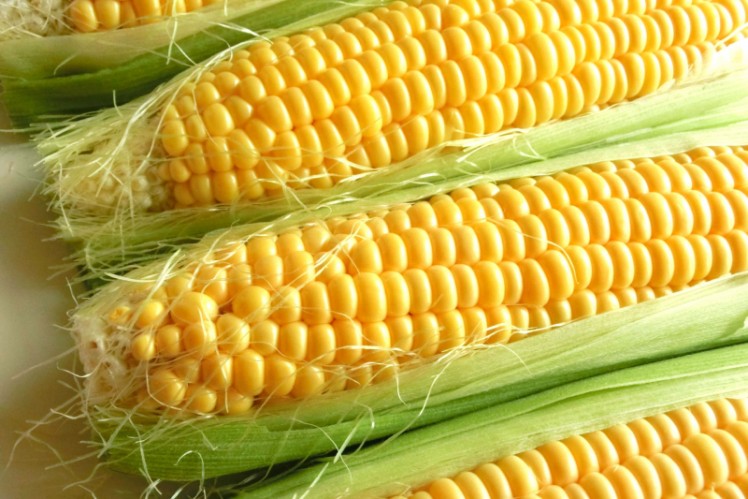 二十四節氣-小滿-易攰-去水腫-食療-湯水-玉米鬚