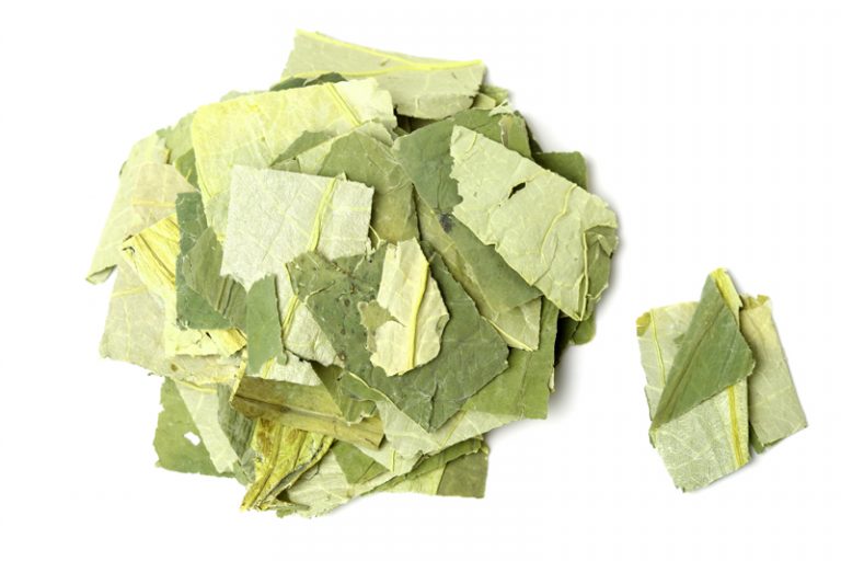 荷葉-夏季養生-無胃口-疲倦-口氣-中醫食療湯水消暑袪濕-食譜