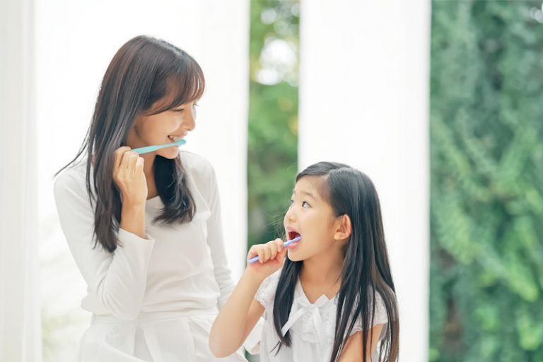 牙齒數量-結構-作用-重要性-港大牙醫學院