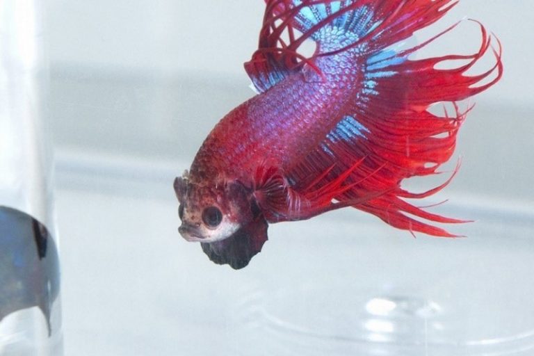 強迫症-放過自己-銀行主管訂無理KPI令下屬迫出強迫症-留力