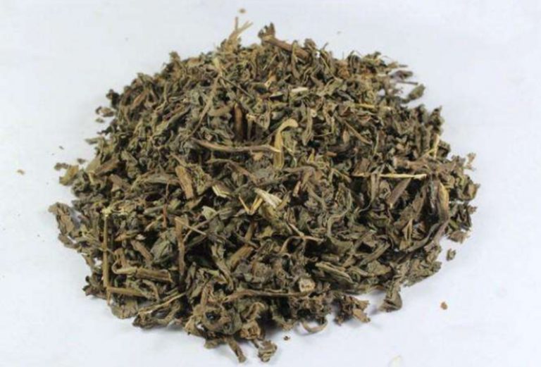 敗醬草-中藥預防新冠-症狀-咳嗽-喉嚨痛-虎杖-敗醬草-李浩然中醫