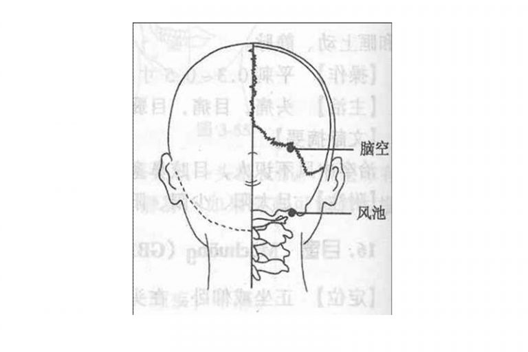 中醫分享旅遊平安藥+穴位按摩應急錦囊 有助緩解胃腸不適、暈車、傷風等症狀