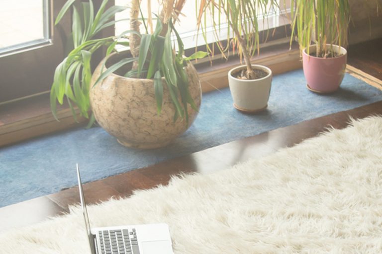 登革熱、日本腦炎、瘧疾等