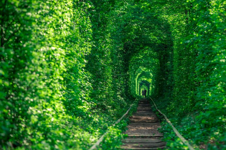 登革熱、日本腦炎、瘧疾等