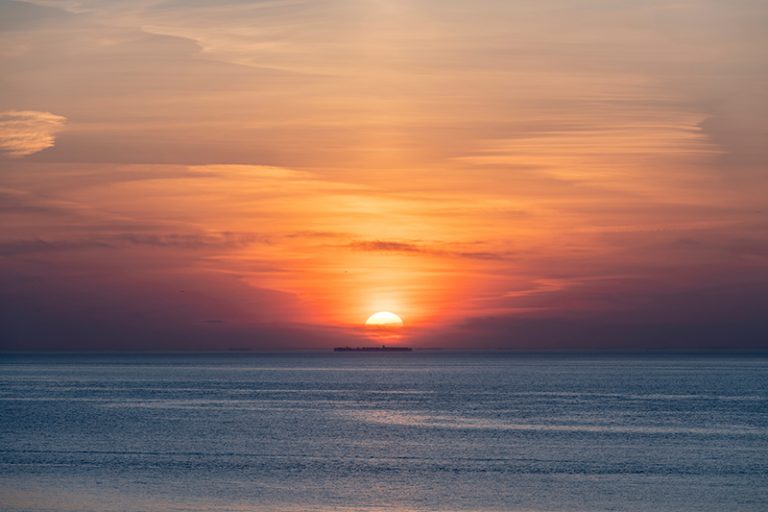 非住院病人不作心肺復甦術-外展言語治療師轉介-老人科專科-DR.S